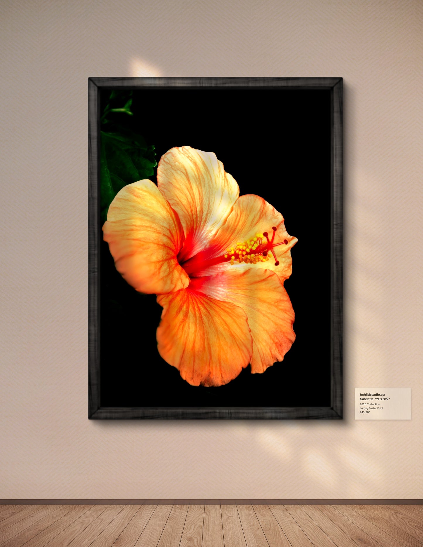 Hibiscus *YELLOW*