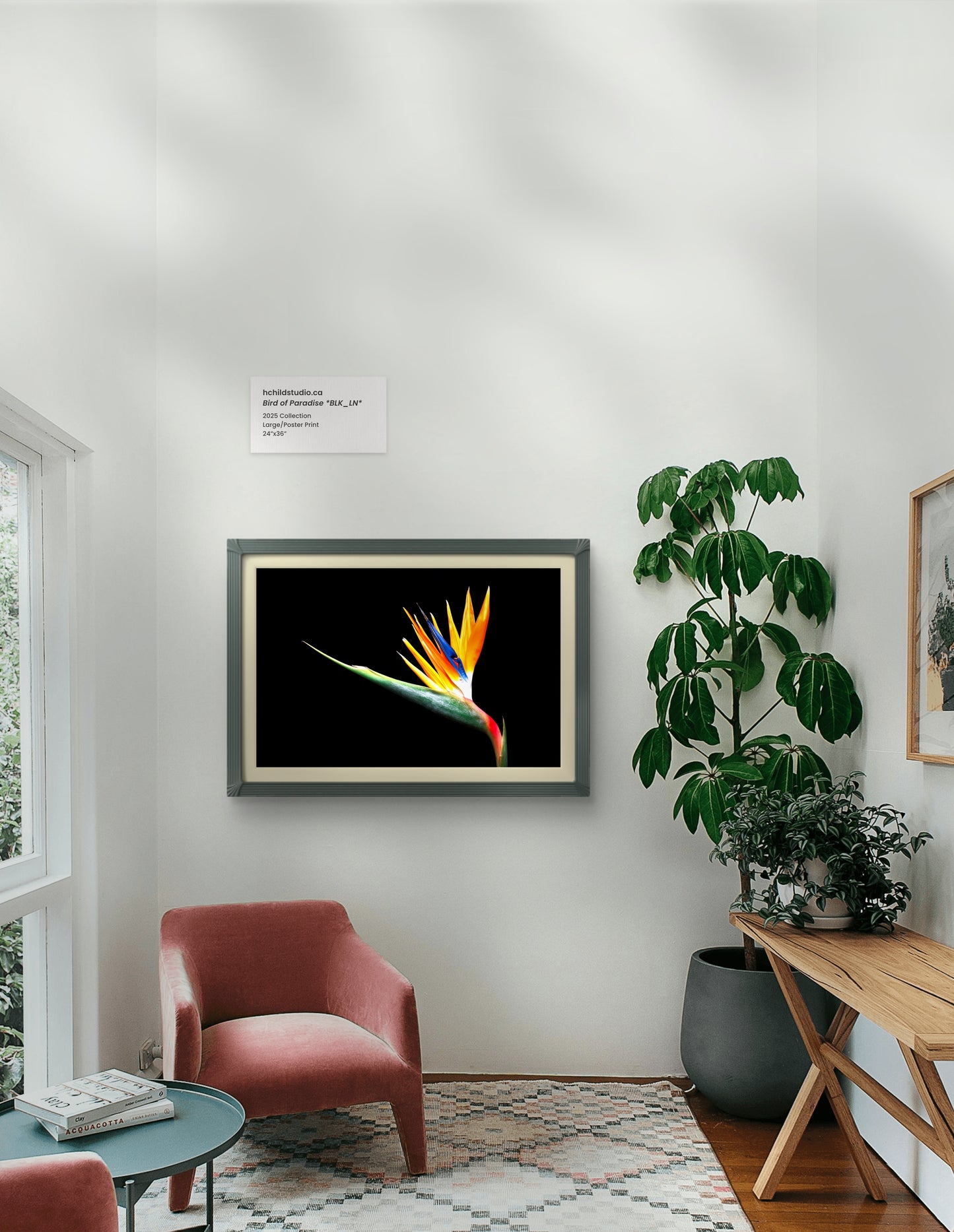 Bird of Paradise *BLK_LN*