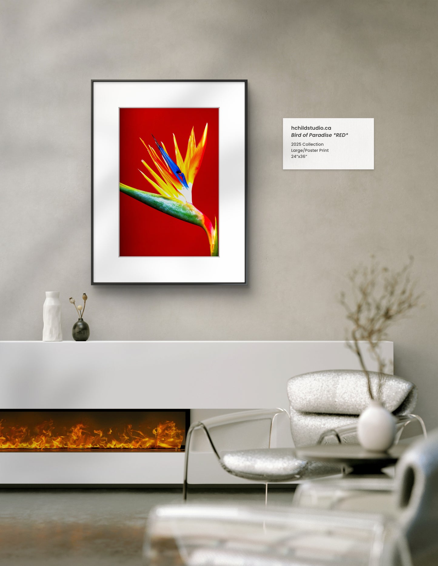 Bird Of Paradise *RED*