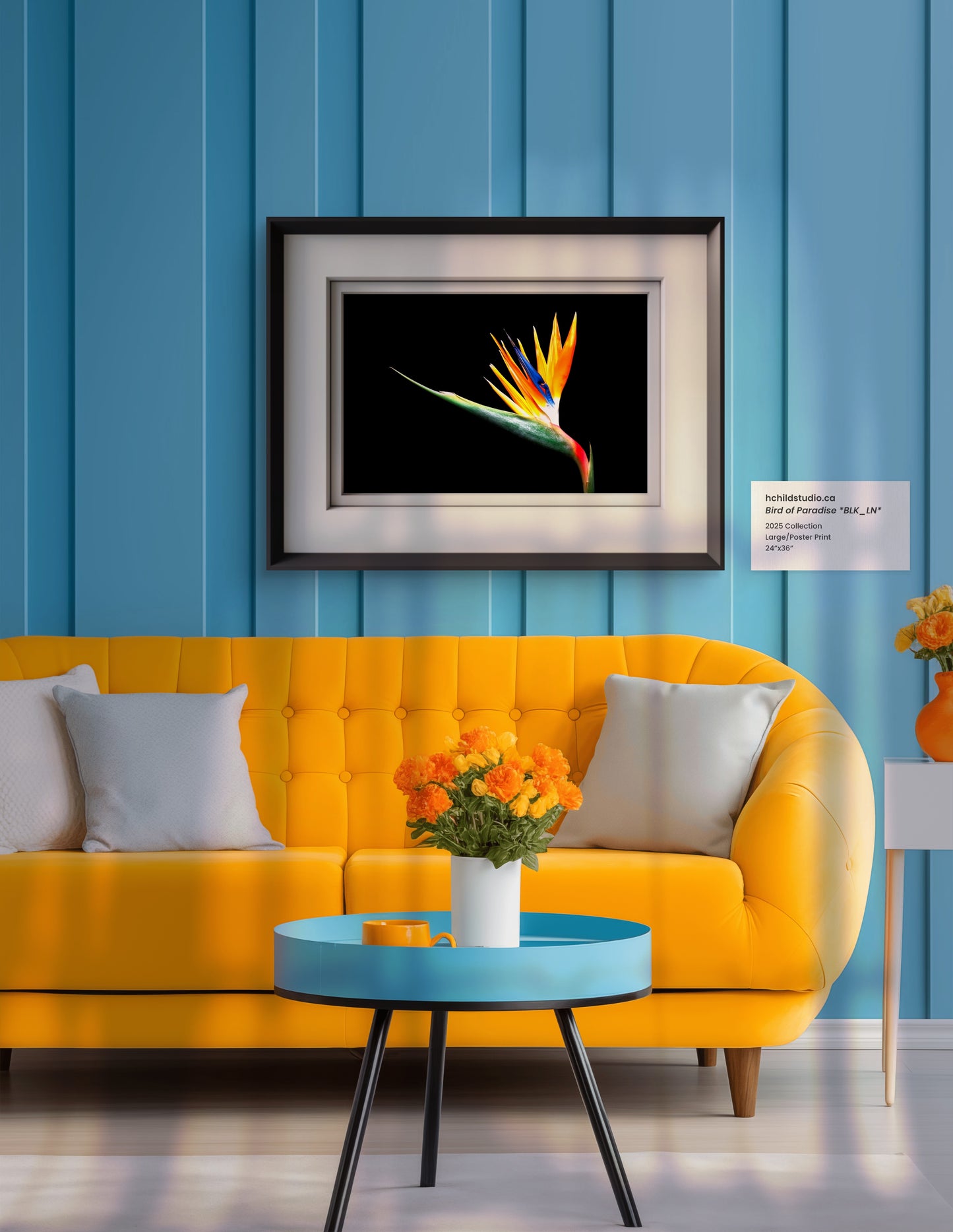 Bird of Paradise *BLK_LN*