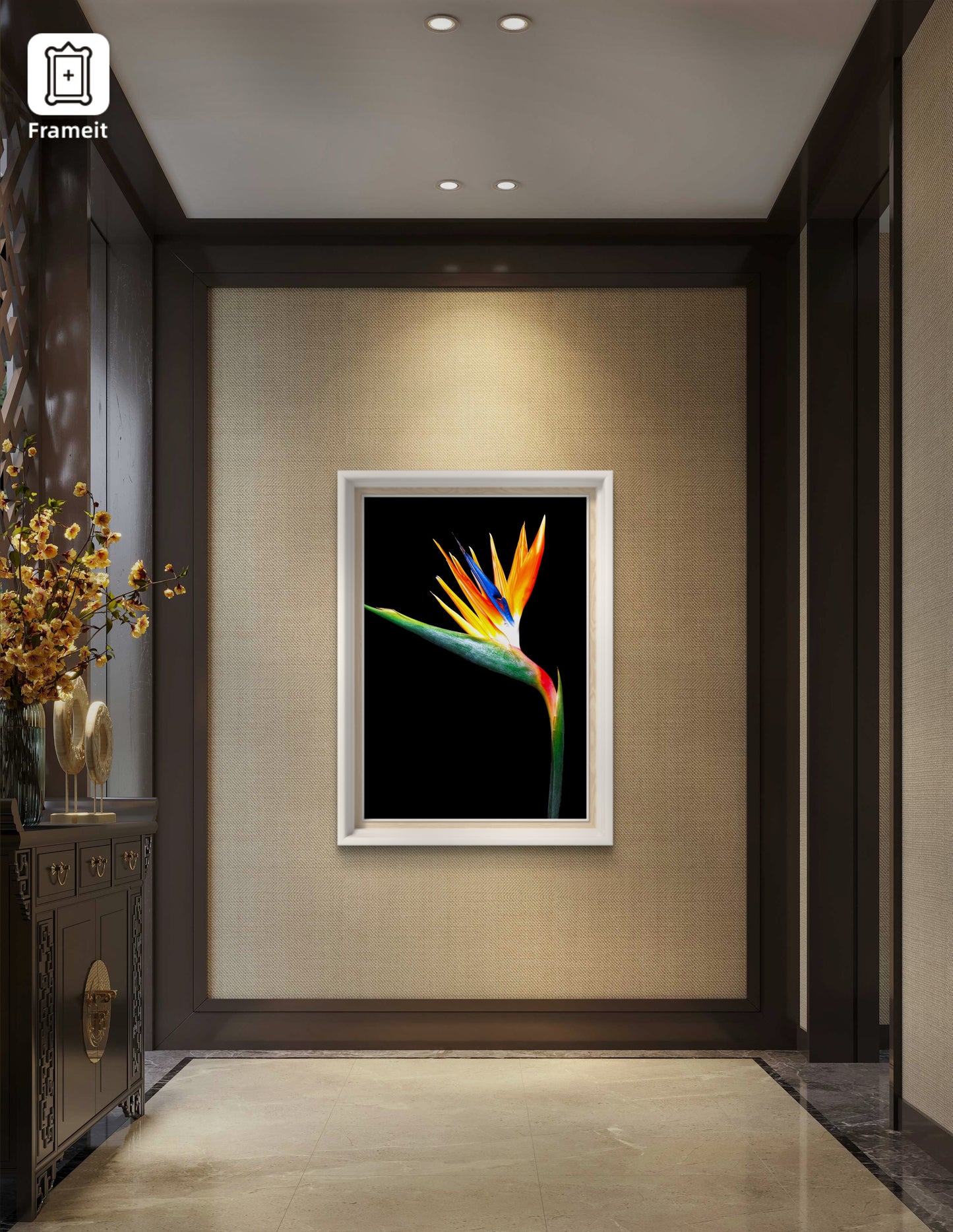 Bird of Paradise *BLK*