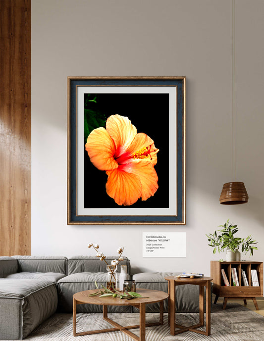 Hibiscus *YELLOW*