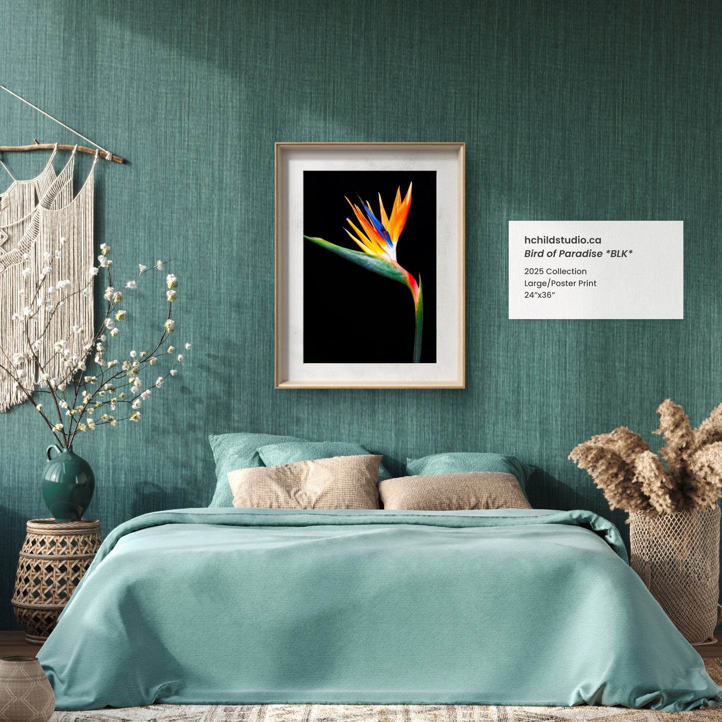 Bird of Paradise *BLK*
