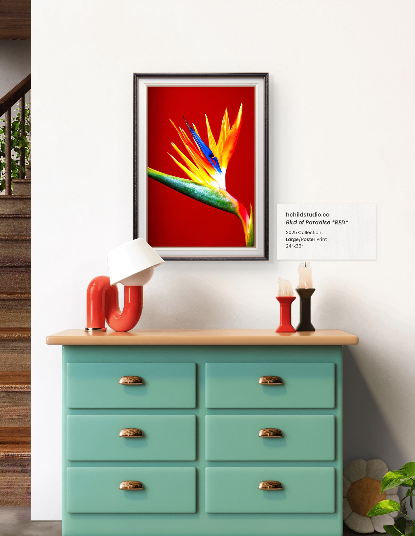 Bird Of Paradise *RED*